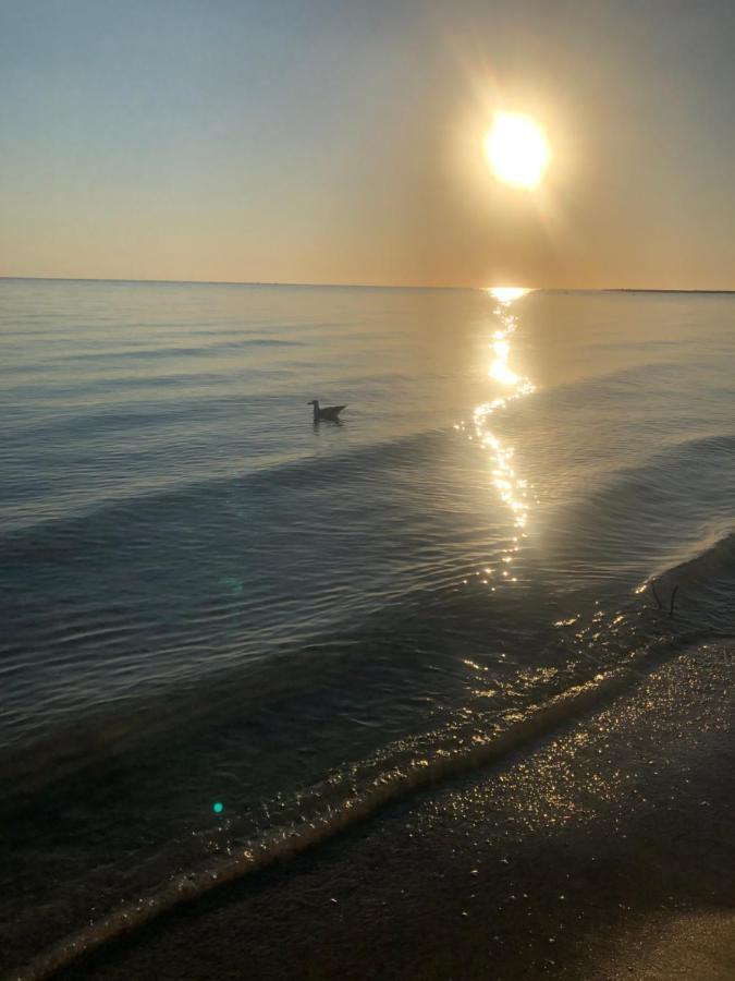 Primera Linea De Playa A 1Km Del Puerto De Denia Exteriér fotografie